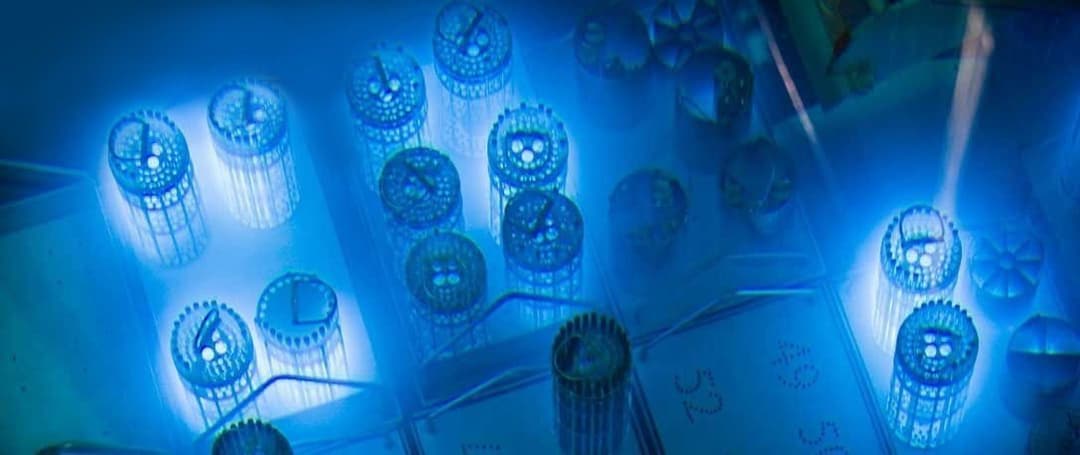 food-irradiation